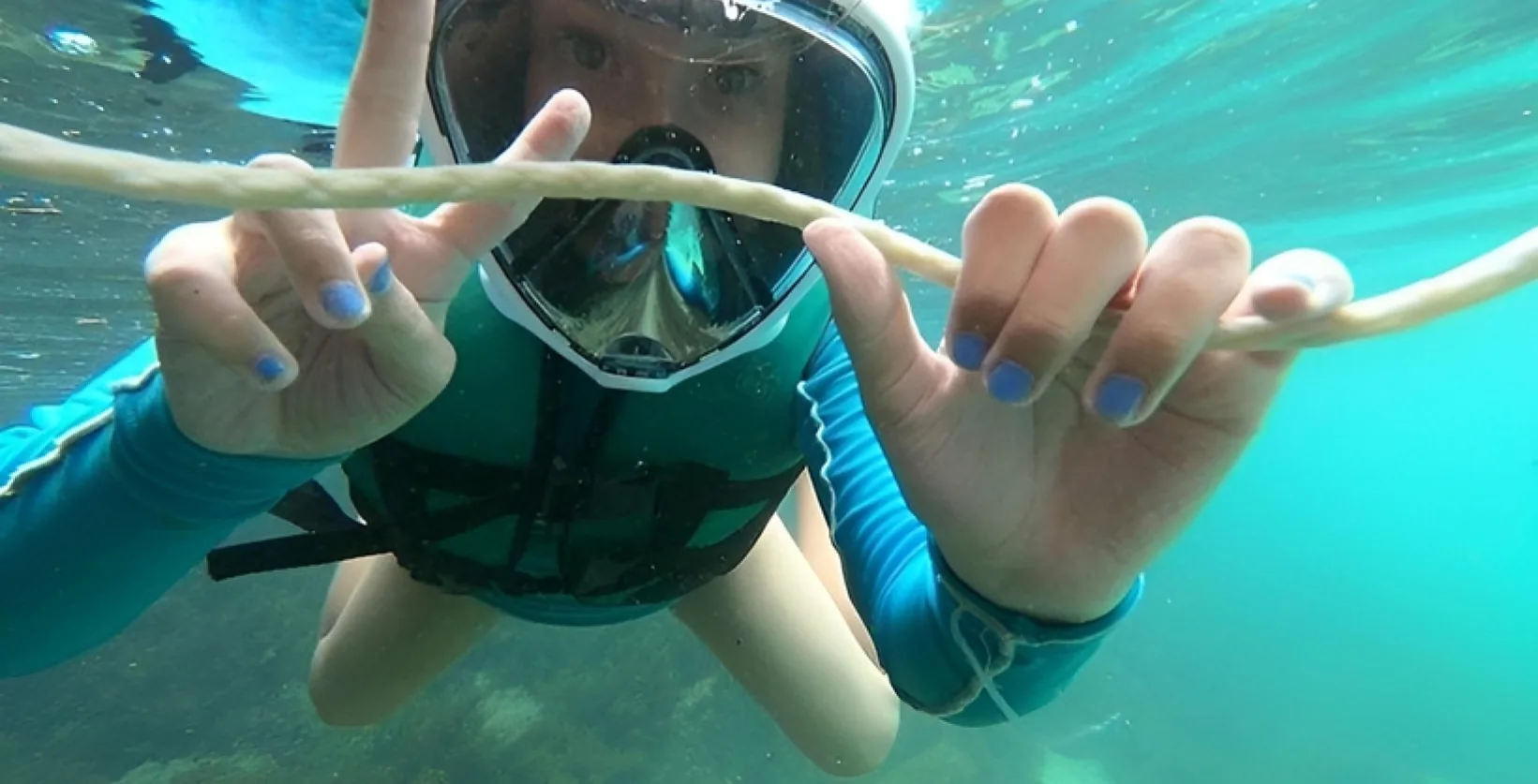 Pessoa mergulhando com máscara de mergulho em águas cristalinas de Bombinhas, explorando a flora e fauna marinha em um ambiente ecológico.